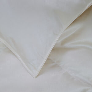 slide 2 Net Silk Medium Comforter Duvet Filler