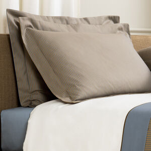 slide 2 Horizon Sham