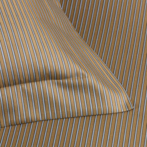 slide 3 Horizon Sham