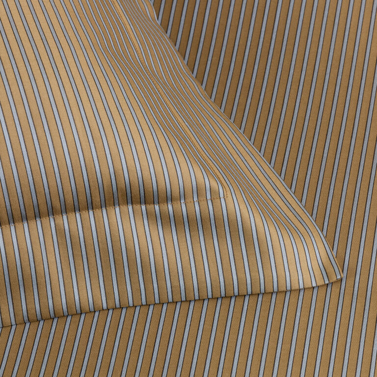 slide 3 Horizon Sham