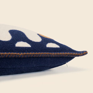 slide 3 Modernism Cushion 002
