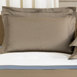 slide 1 Horizon Sham