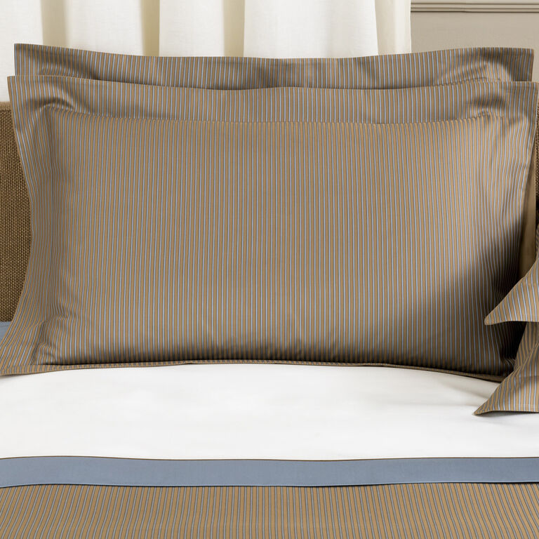 slide 1 Horizon Sham