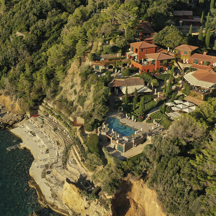 Pellicano
